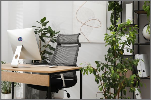 a biophilic office set up
